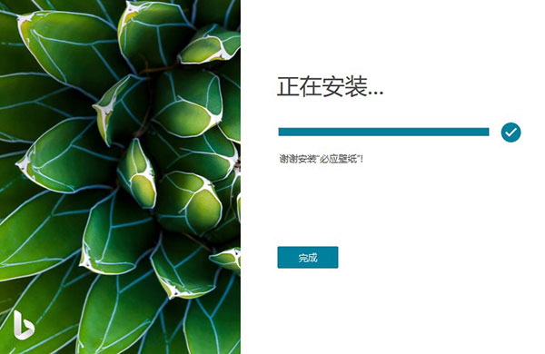 Bing Wallpaper必应壁纸中文最新版