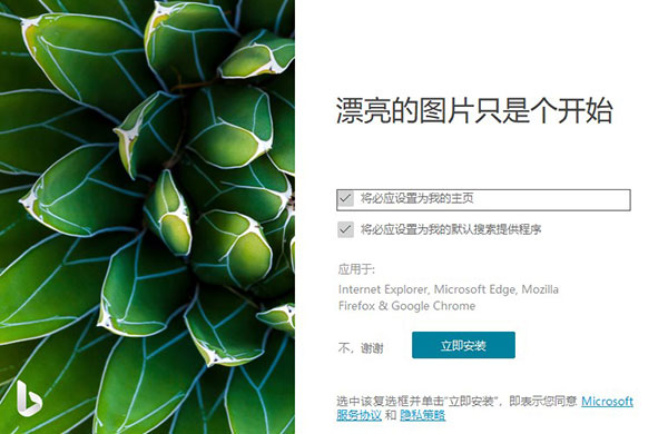 Bing Wallpaper必应壁纸中文最新版